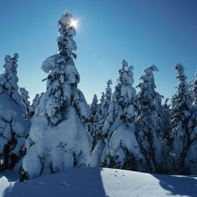 Die Flextron AG im Jahreswechsel